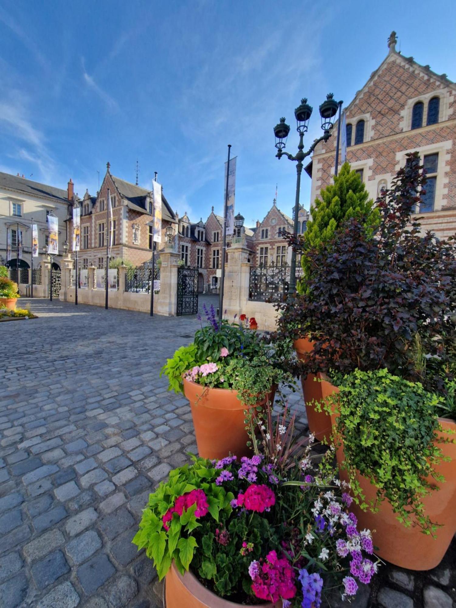 Bnb L'Orleanais Hyper Centre D'Orleans Proche Gare Parking Exteriör bild